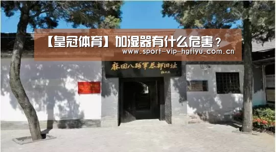【皇冠体育】加湿器有什么危害?(图1) 皇冠体育