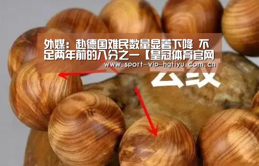 外媒:赴德国难民数量显著下降 不足两年前的八分之一【皇冠体育官网】(图2) 皇冠体育