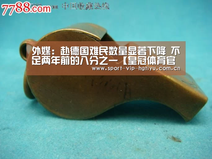 外媒:赴德国难民数量显著下降 不足两年前的八分之一【皇冠体育官网】(图3) 皇冠体育官网